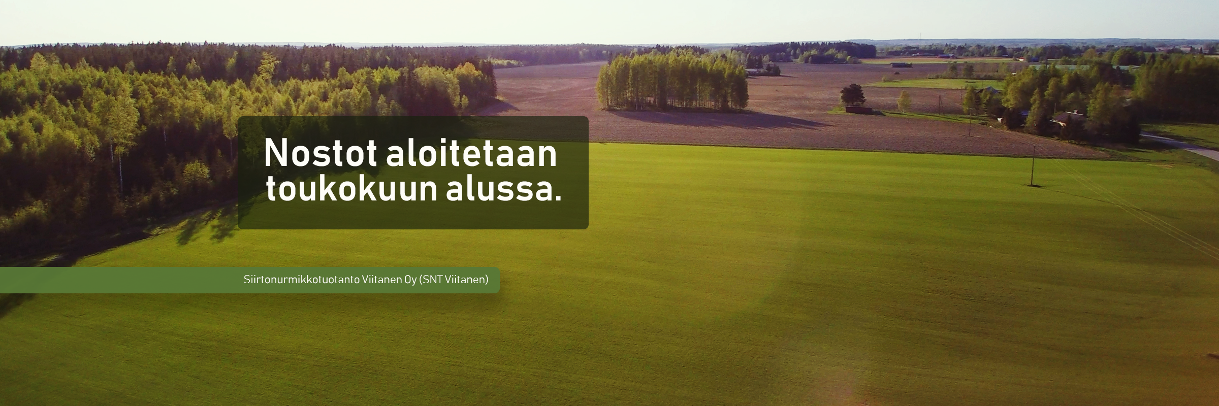 Siirtonurmikko
