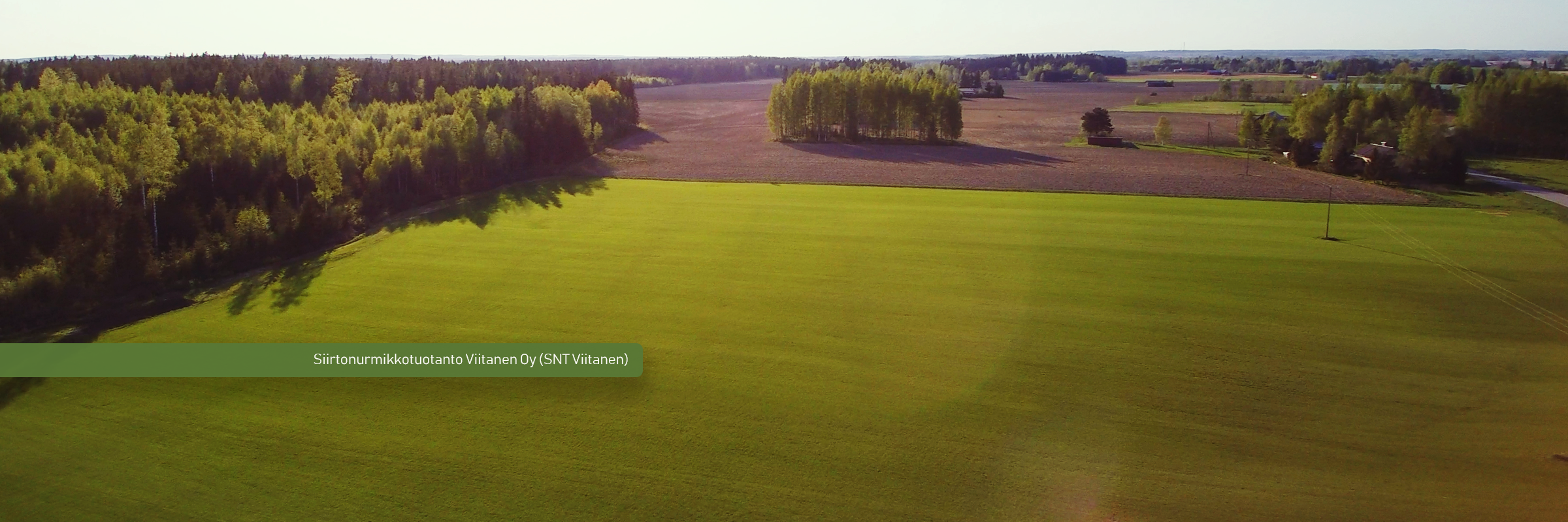 Siirtonurmikko