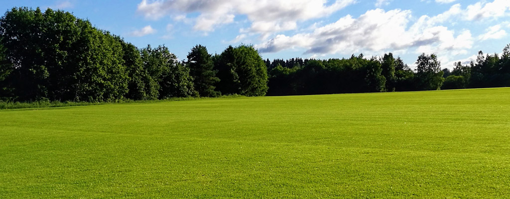 Siirtonurmikko