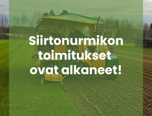 Premium-nurmikon nostot ja toimitukset ovat alkaneet!