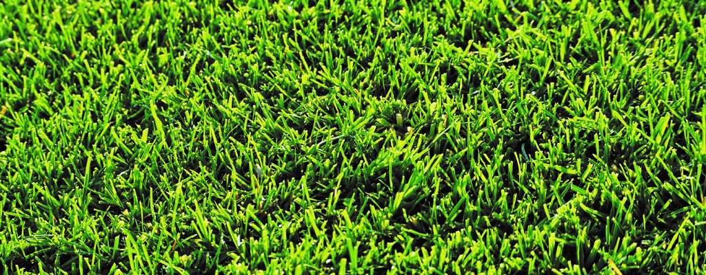 Premium-siirtonurmikko-1