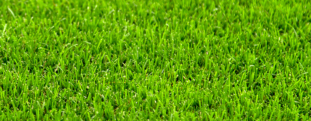 basic-siirtonurmi-lahempi-1