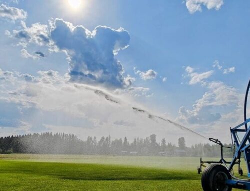 TÄRKEÄÄ HUOMIOITAVAA HELTEELLÄ! ☀️