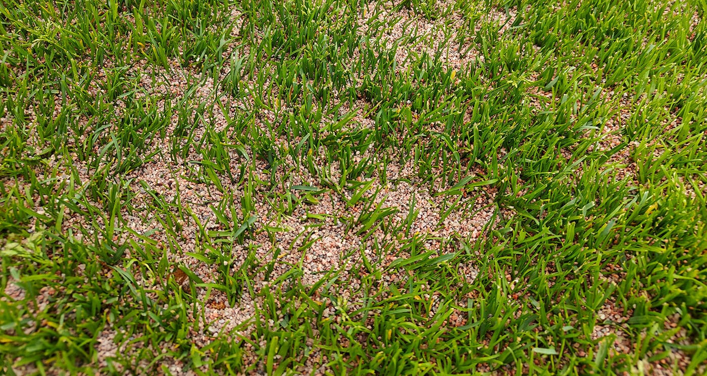 Hiekkaa-nurmikolle-e1750880956474