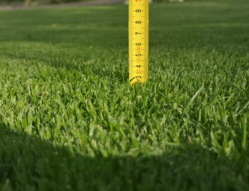 Huoltokalenteri nurmikoille