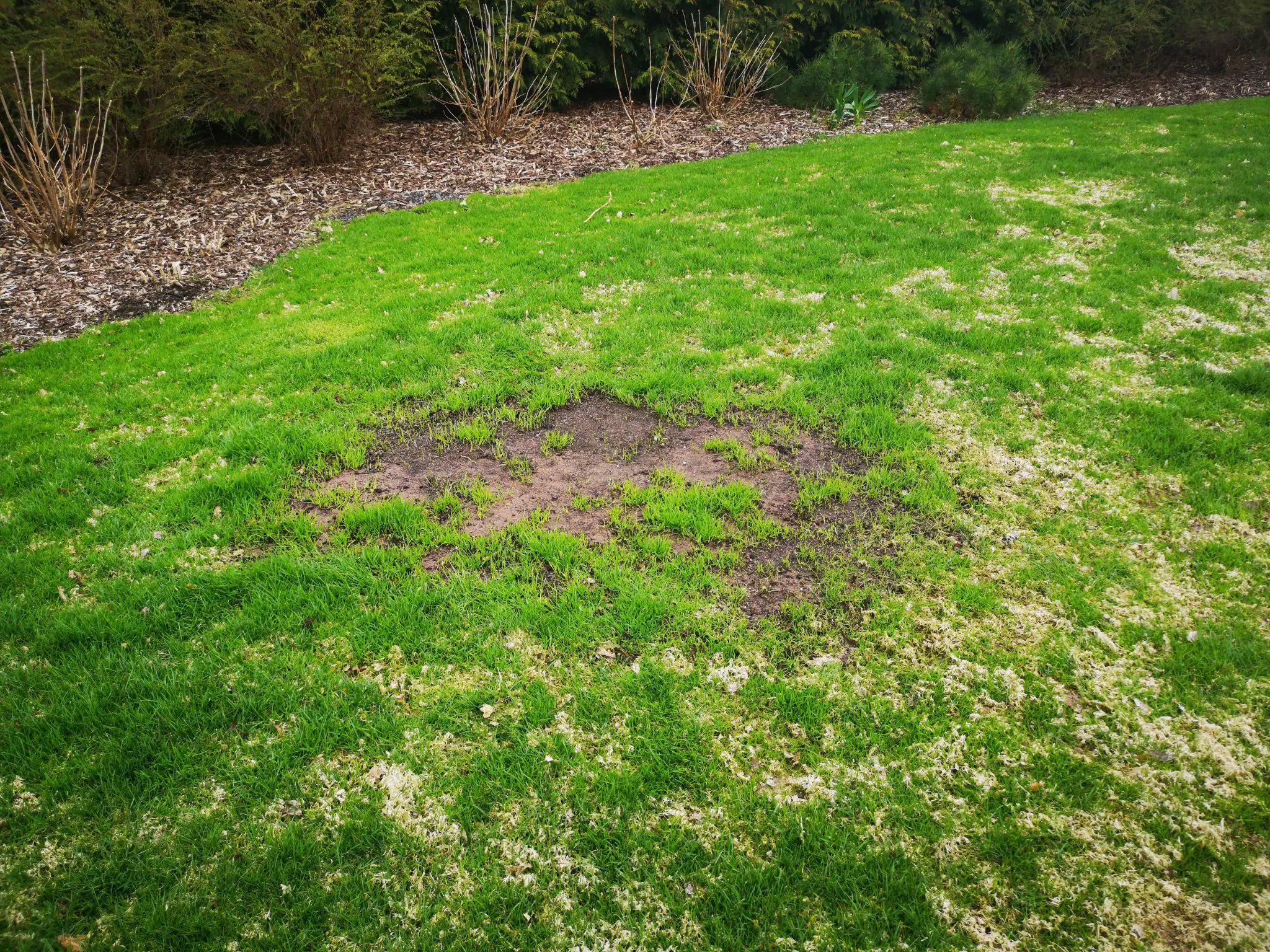 IMG_20200513_123716-2048×1536