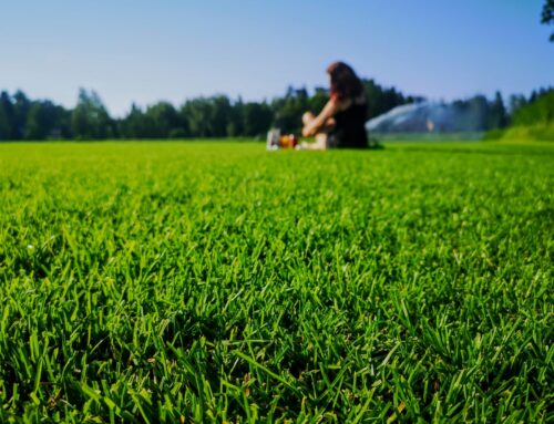 Uusi vuosi, uudet verkkosivut!