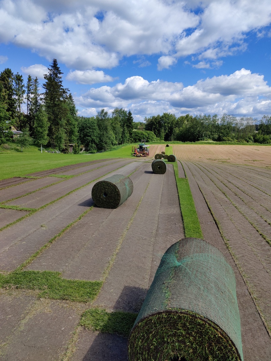 Maksirullien-nostoa-1-scaled