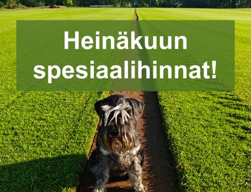 Heinäkuun spesiaalihinnat! ☀️